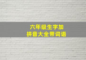 六年级生字加拼音大全带词语