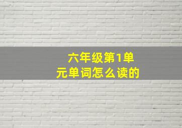 六年级第1单元单词怎么读的