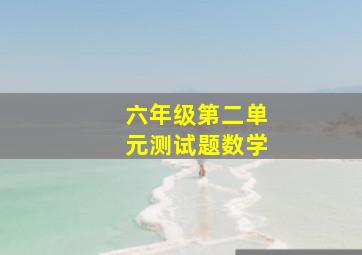 六年级第二单元测试题数学