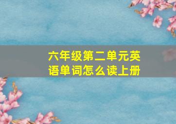 六年级第二单元英语单词怎么读上册