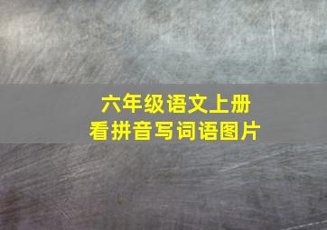 六年级语文上册看拼音写词语图片