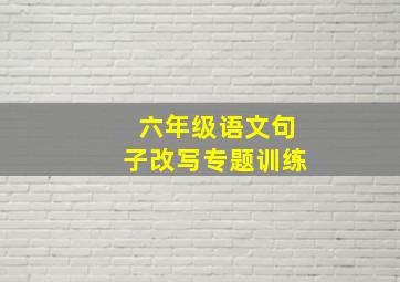 六年级语文句子改写专题训练