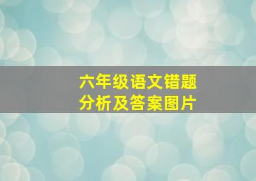 六年级语文错题分析及答案图片