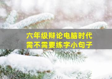 六年级辩论电脑时代需不需要练字小句子