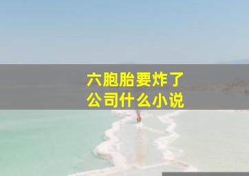 六胞胎要炸了公司什么小说