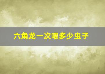 六角龙一次喂多少虫子