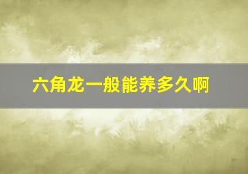 六角龙一般能养多久啊