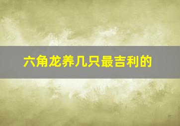 六角龙养几只最吉利的