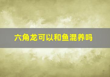 六角龙可以和鱼混养吗