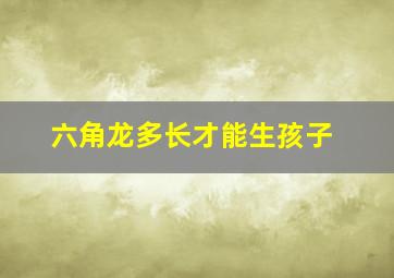 六角龙多长才能生孩子