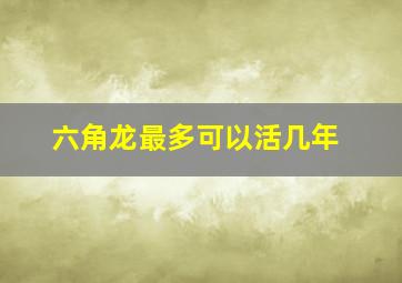 六角龙最多可以活几年