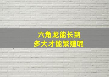 六角龙能长到多大才能繁殖呢