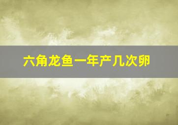 六角龙鱼一年产几次卵