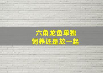 六角龙鱼单独饲养还是放一起