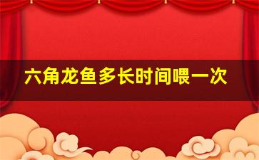 六角龙鱼多长时间喂一次