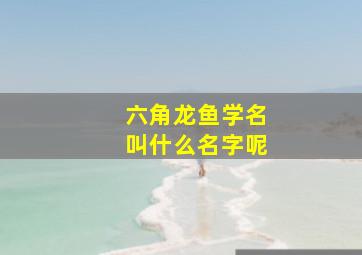 六角龙鱼学名叫什么名字呢