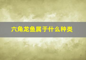 六角龙鱼属于什么种类