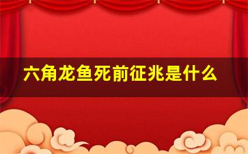 六角龙鱼死前征兆是什么