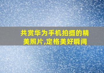 共赏华为手机拍摄的精美照片,定格美好瞬间