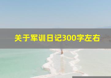 关于军训日记300字左右