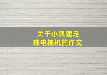 关于小狐狸足球电视机的作文