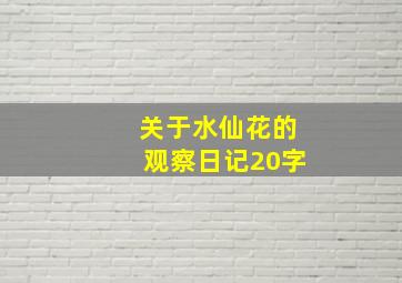 关于水仙花的观察日记20字