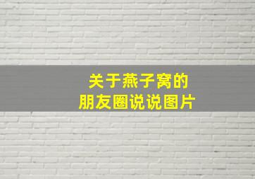 关于燕子窝的朋友圈说说图片