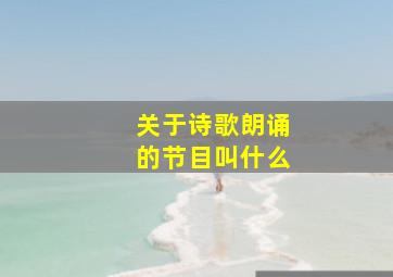 关于诗歌朗诵的节目叫什么