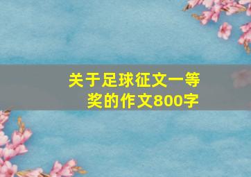 关于足球征文一等奖的作文800字