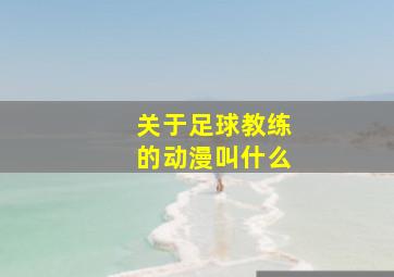 关于足球教练的动漫叫什么