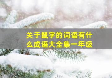 关于鼠字的词语有什么成语大全集一年级