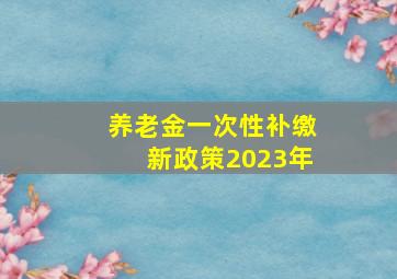 养老金一次性补缴新政策2023年