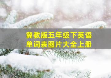 冀教版五年级下英语单词表图片大全上册