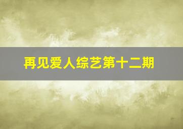 再见爱人综艺第十二期