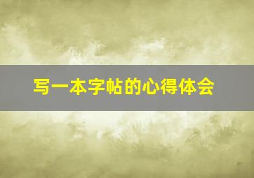 写一本字帖的心得体会