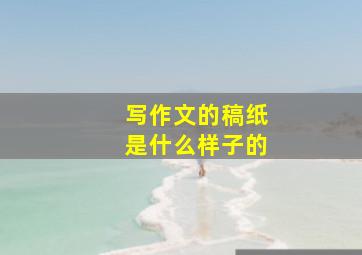 写作文的稿纸是什么样子的