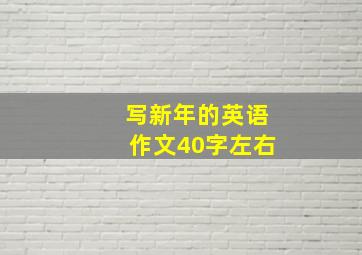 写新年的英语作文40字左右