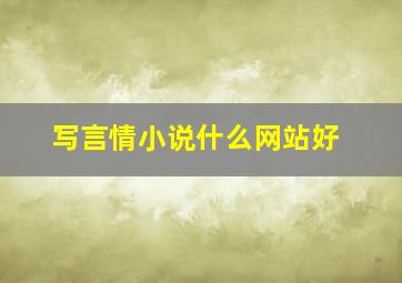 写言情小说什么网站好