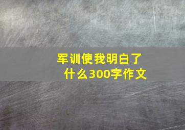 军训使我明白了什么300字作文