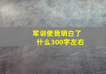 军训使我明白了什么300字左右