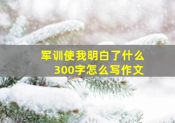 军训使我明白了什么300字怎么写作文