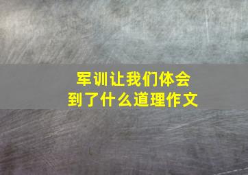 军训让我们体会到了什么道理作文