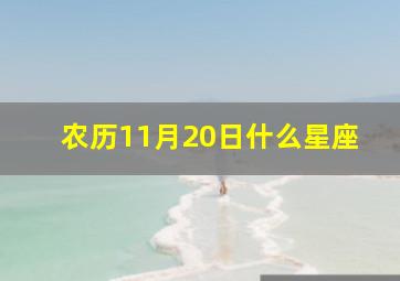 农历11月20日什么星座