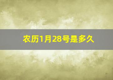 农历1月28号是多久