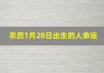 农历1月28日出生的人命运