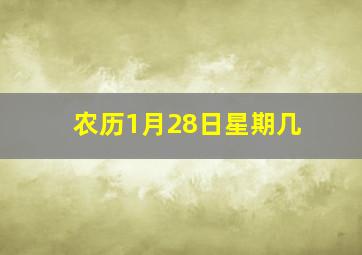 农历1月28日星期几