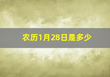 农历1月28日是多少