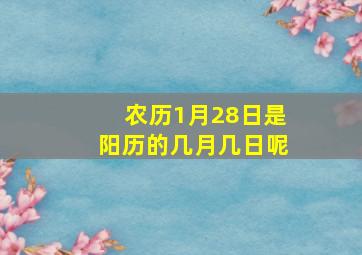 农历1月28日是阳历的几月几日呢