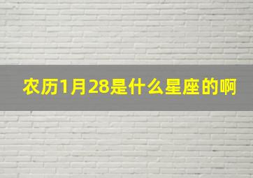 农历1月28是什么星座的啊