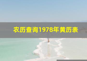 农历查询1978年黄历表